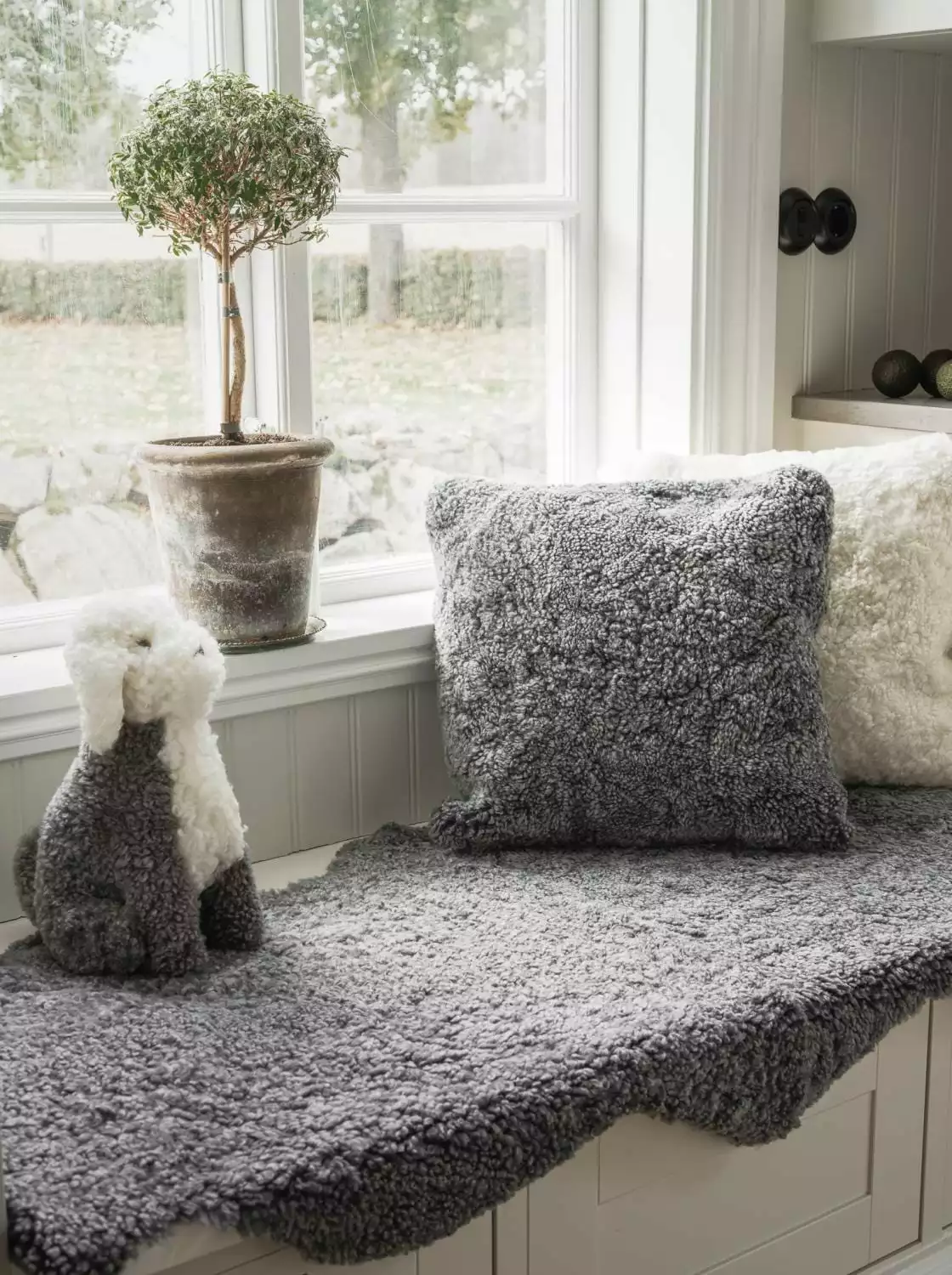 Skinnwille Curly Milou 5 Skinnwille Curly Milou - Bild 3