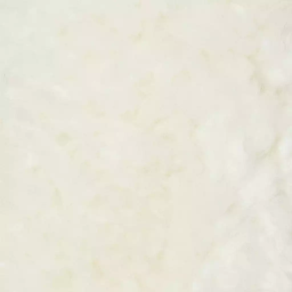 Skinnwille Curly Milou 8 Skinnwille Curly Milou - Bild 6